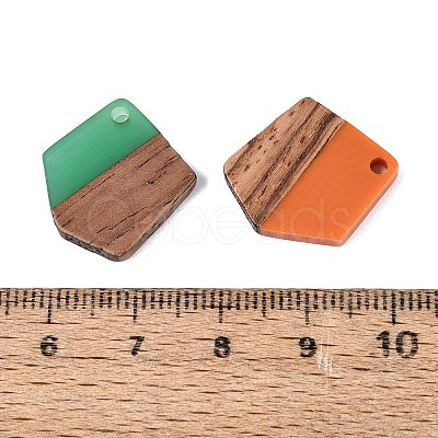 Opaque & Transparent Resin & Walnut Wood Pendants RESI-N053-35-1