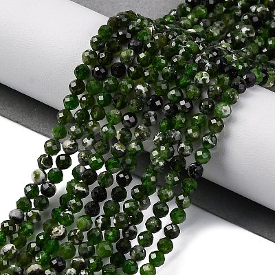 Natural Diopside Beads Strands G-G188-B14-02-1