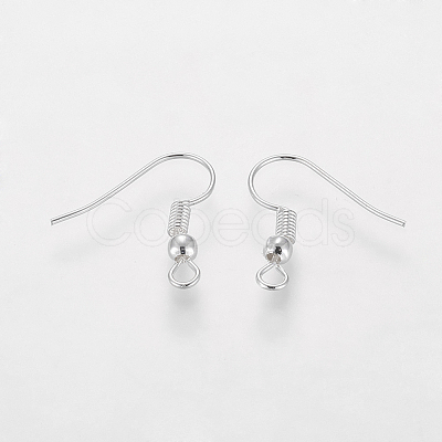 Grade A Silver Color Plated Iron Earring Hooks EC135-S-NF-1