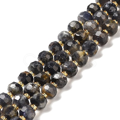 Natural Iolite Beads Strands G-P508-A12-01-1