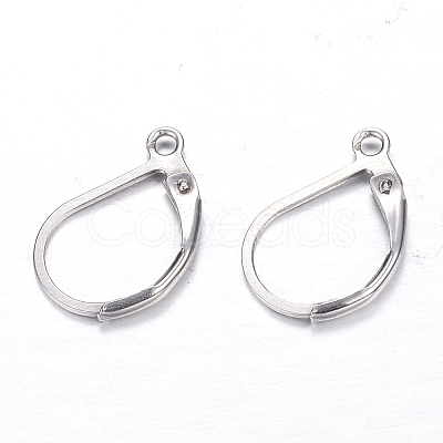 Tarnish Resistant 304 Stainless Steel Leverback Earring Findings X-STAS-M217-03-1