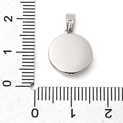 Natural Shell & Clear Cubic Zirconia Charms KK-G553-16P-1