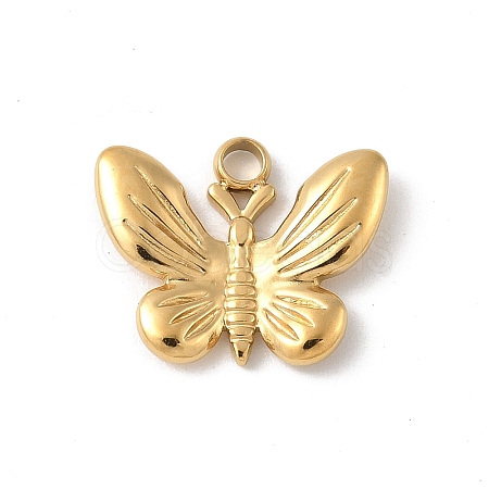 304 Stainless Steel Charms STAS-P388-17G-1