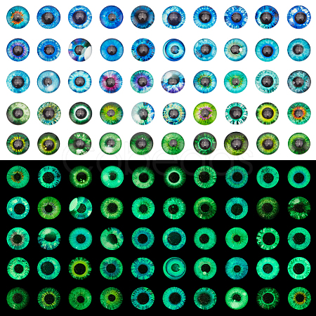 1 Bag Flatback Glass Cabochons GGLA-PH0001-56-1