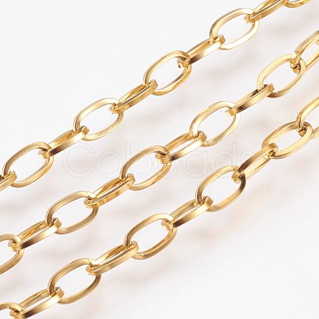 Ion Plating(IP) Handmade 304 Stainless Steel Cable Chains STAS-P200-27G-1