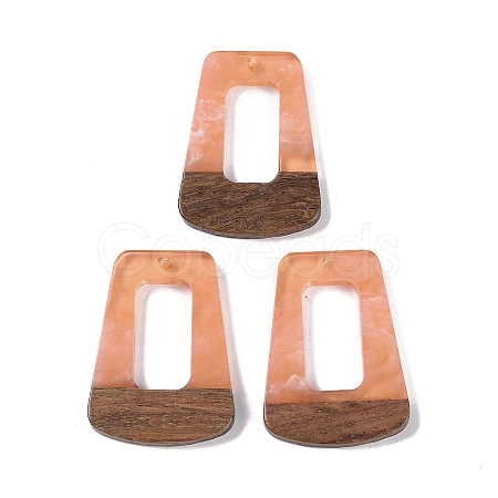 Resin & Wood Pendants WOOD-F015-11B-1