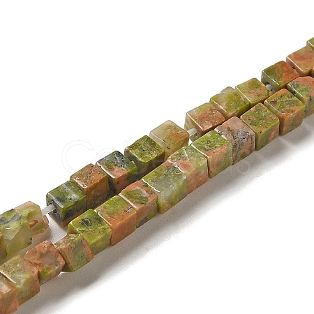 Natural Unakite Beads Strands G-B064-A10-1