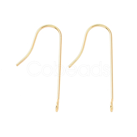 316 Surgical Stainless Steel Earring Hooks STAS-E027-01B-G-1