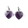 Faceted Transparent Glass Charms GLAA-T024-04A-2