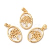 Brass Shell Pendants X-KK-M243-34G-3