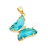 Glass Pendants X-GLAA-G075-01G-07-1
