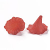 Transparent Acrylic Beads BSF796-C12-2