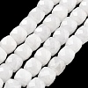 Natural White Jade Beads Strands G-C179-B23-01-1