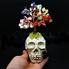 Natural Mixed Gemstone Chips Tree Display Decorations PW-WG53352-01-1