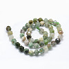 Natural Chrysoprase Beads Strands G-F523-34-8mm-2
