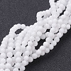 Natural White Jade Beads Strands GSR10mmC067-4