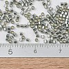 MIYUKI Delica Beads Small SEED-X0054-DBS0048-4