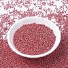 MIYUKI Round Rocailles Beads X-SEED-G007-RR0425-2