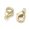 Brass Lobster Claw Clasps KK-H256-03G-01-2