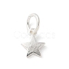 S925 Sterling Silver Pendant STER-H115-03C-S-1