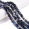Natural Sodalite Beads Strands G-T138-107-1