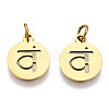 304 Stainless Steel Charms STAS-Q201-T446G-02-2