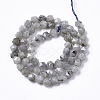 Natural Labradorite Beads Strands G-R465-33A-2