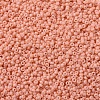 MIYUKI Round Rocailles Beads X-SEED-G007-RR4461-3