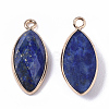 Natural Lapis Lazuli Pendants G-T131-07B-2