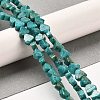 Natural Dolomite Beads Strands G-F765-H01-01-2