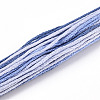 10 Skeins 6-Ply Polyester Embroidery Floss OCOR-K006-A71-2
