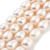 Natural Cultured Freshwater Pearl Beads Strands PEAR-P062-14D-X-2