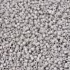 MIYUKI Delica Beads SEED-X0054-DB1538-3