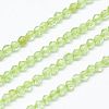 Natural Peridot Beads Strands X-G-J002-18-1