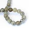 Natural Labradorite Round Bead Strands G-E334-8mm-19-3