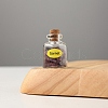 Mini Natural Garnet Chips Bottles Sets G-PW0007-139I-1