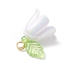 5Pcs Transparent Acrylic Pendants PALLOY-JF04703-01-5