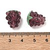 Handmade Lampwork Beads X-LAMP-WH0012-02C-3