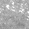 Glass Seed Beads SEED-H002-E-A1420-3