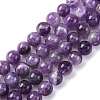 Gemstone Beads Strands G-S024-2
