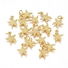 Electroplated Alloy Charms X-PALLOY-G267-06G-1