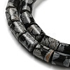 Natural Snowflake Obsidian Stone Beads Strands G-Q1008-A02-3