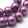 Polished Round Grade A Shell Pearl Bead Strands LS-BSHE-M027-6mm-11-2