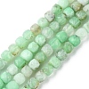 Natural Chrysoprase Beads Strands G-F748-F01-01B-1