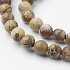Natural Picture Jasper Bead Strands G-G735-16-6mm-3