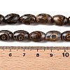 Natural Tibetan Agate 3-Eye Beads Strands G-T138-195A-5