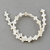 Natural Freshwater Shell Beads Strands X-SSHEL-Q296-34-1