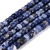 Natural Sodalite Beads Strands G-Q606-46A-03-2