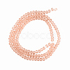 Glass Beads Strands EGLA-A034-T10mm-D21-2