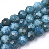 Natural Apatite Beads Strands X-G-S345-6mm-008-1